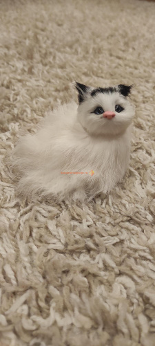 Кот из меха со звуком 2 во Бокситогорске